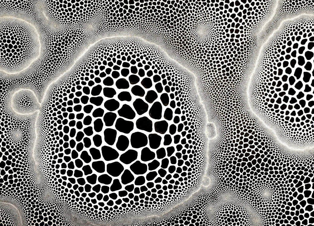 Around Here Somewhere